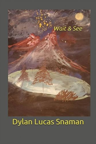 Cover image for Wait & See