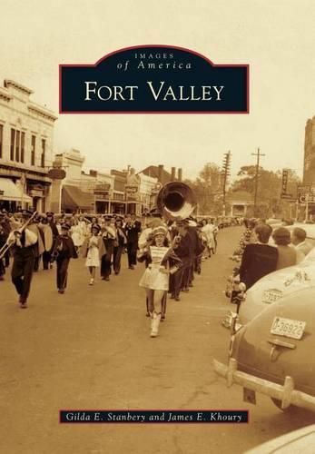 Cover image for Fort Valley