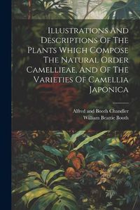 Cover image for Illustrations And Descriptions Of The Plants Which Compose The Natural Order Camellieae, And Of The Varieties Of Camellia Japonica