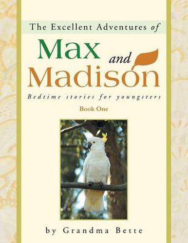 Cover image for The Excellent Adventures of Max and Madison: Bedtime Stories for Youngsters