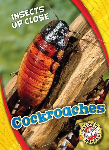 Cover image for Cockroaches