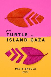 Cover image for From Turtle Island to Gaza