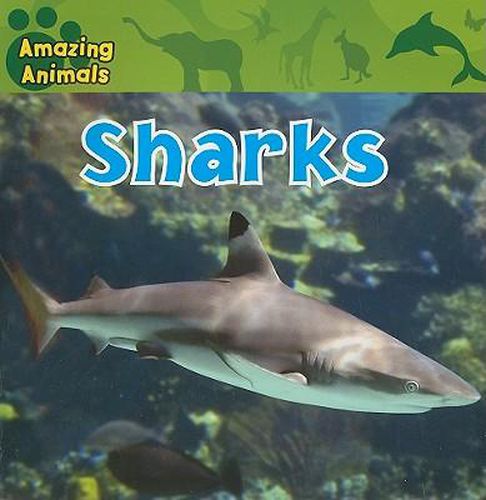 Cover image for Sharks