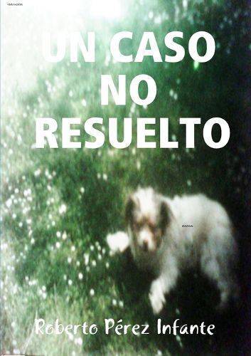 Cover image for Un Caso No Resuelto