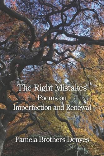 Cover image for The Right Mistakes