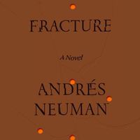 Cover image for Fracture