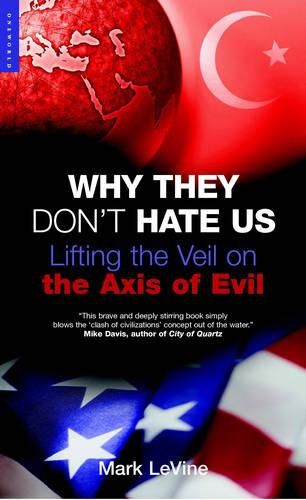 Cover image for Why They Don't Hate Us: Lifting the Veil on the Axis of Evil