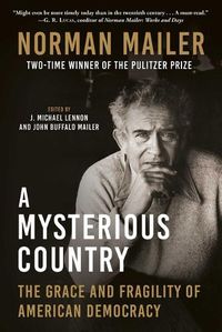 Cover image for A Mysterious Country: The Grace and Fragility of American Democracy