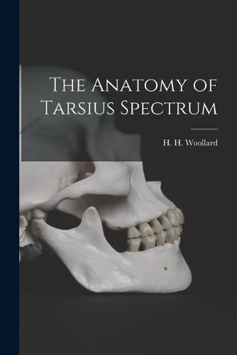 Cover image for The Anatomy of Tarsius Spectrum