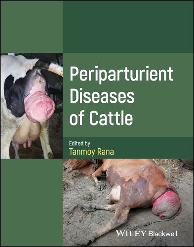 Cover image for Periparturient Diseases of Cattle