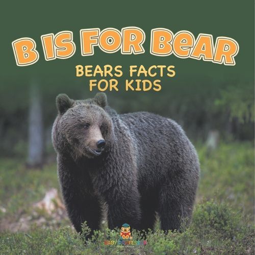 Cover image for B is for Bear