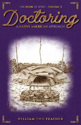 Cover image for Native American Doctoring