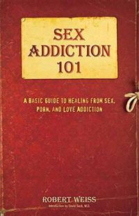 Cover image for Sex Addiction 101: A Basic Guide to Healing from Sex, Porn, and Love Addiction