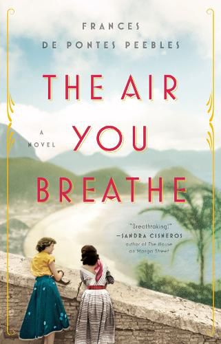 Cover image for The Air You Breathe: A Novel