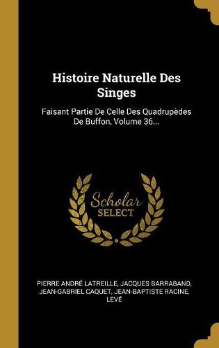Cover image for Histoire Naturelle Des Singes