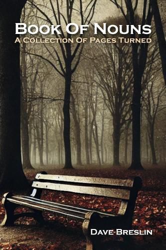 Cover image for Book Of Nouns