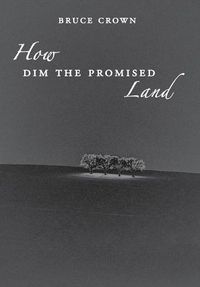 Cover image for How Dim the Promised Land