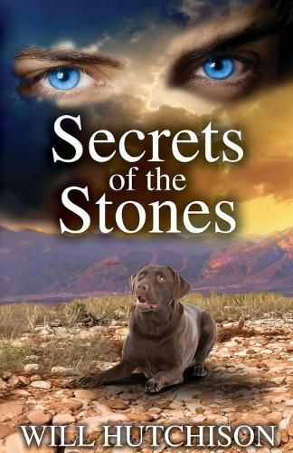 Cover image for Secrets of the Stones