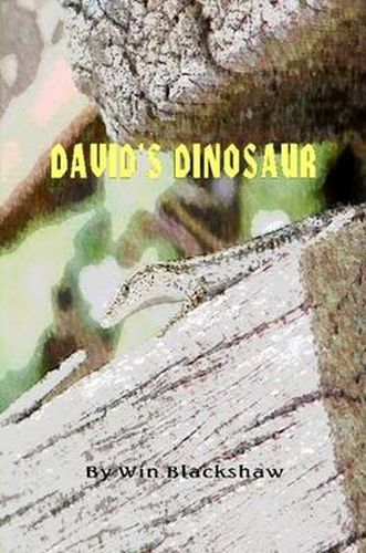 Cover image for David's Dinosaur