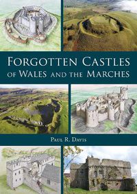 Cover image for Forgotten Castles of Wales and the Marches