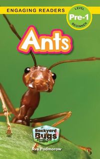 Cover image for Ants