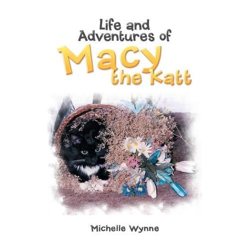 Cover image for Life and Adventures of Macy the Katt