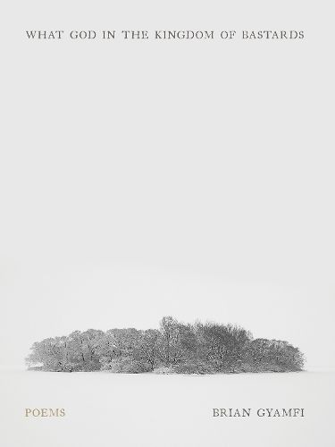 Cover image for What God in the Kingdom of Bastards