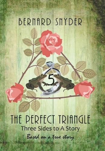 Cover image for The Perfect Triangle