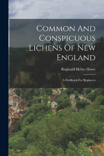 Cover image for Common And Conspicuous Lichens Of New England