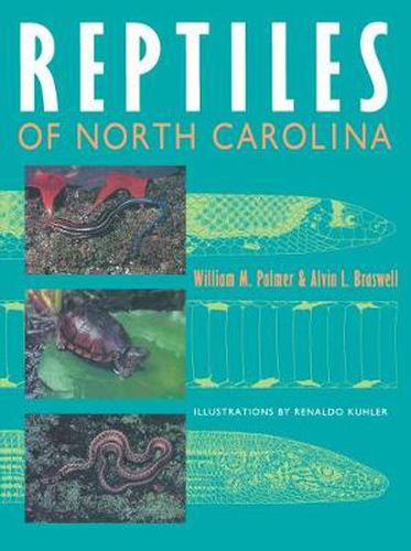 Cover image for Reptiles of North Carolina