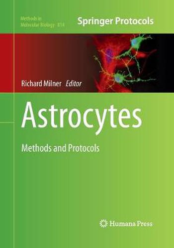 Cover image for Astrocytes: Methods and Protocols