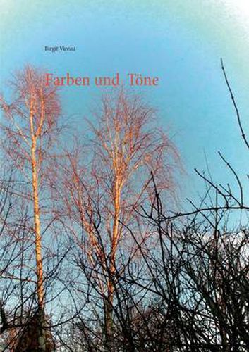 Cover image for Farben und Toene