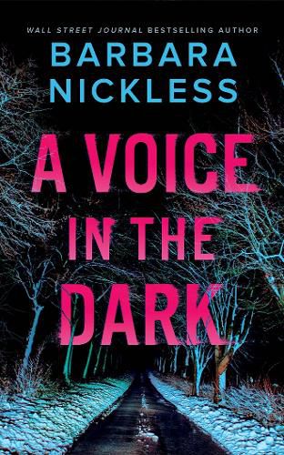 Cover image for A Voice in the Dark