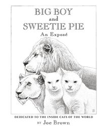 Cover image for Big Boy and Sweetie Pie