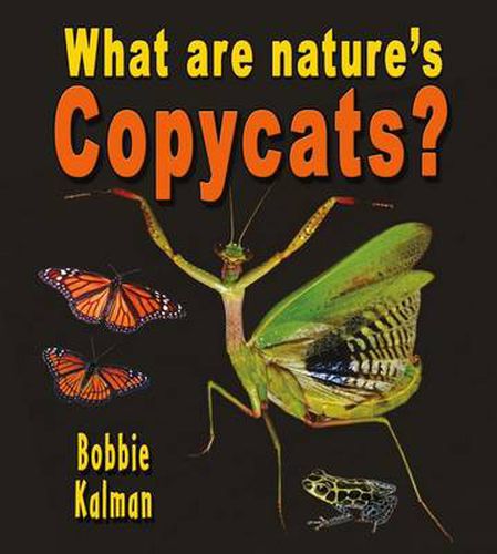 Cover image for What are natures copycats?