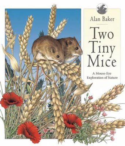 Cover image for Two Tiny Mice: A Mouse-Eye Exploration of Nature