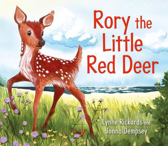Cover image for Rory the Little Red Deer