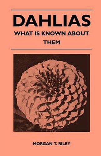 Cover image for Dahlias - What Is Known About Them