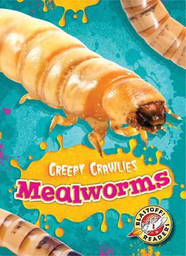 Mealworms