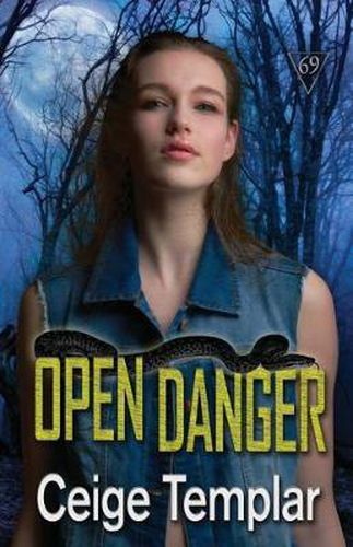 Cover image for Open Danger