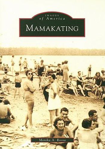 Cover image for Mamakating