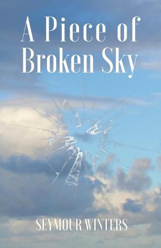 Cover image for A Piece of Broken Sky