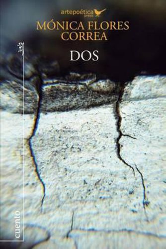 Cover image for DOS