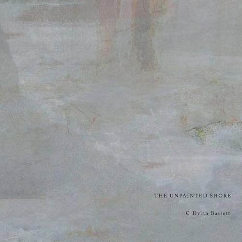 Cover image for The Unpainted Shore