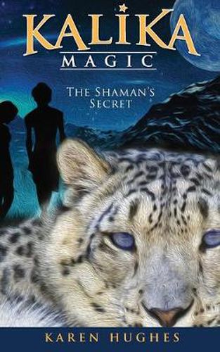 Cover image for The Shaman's Secret