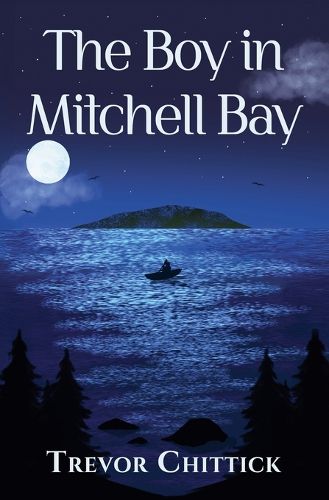 Cover image for The Boy in Mitchell Bay