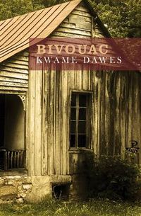 Cover image for Bivouac