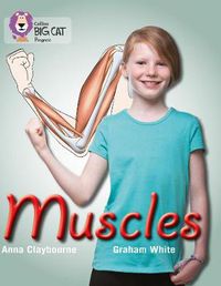 Cover image for Muscles: Band 03 Yellow/Band 16 Sapphire