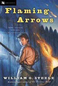 Cover image for Flaming Arrows