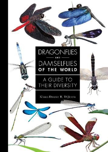 Cover image for Dragonflies and Damselflies of the World